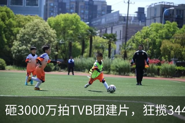 砸3000万拍TVB团建片，狂揽3445万，港片最后全家福